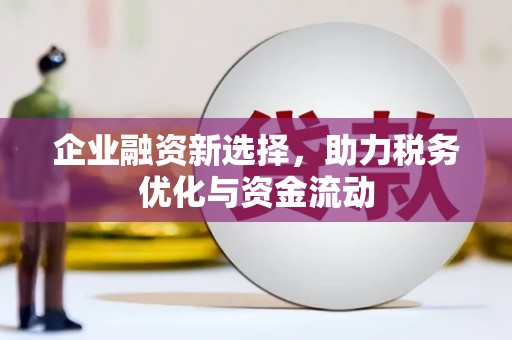 拉孜企业融资新选择，助力税务优化与资金流动