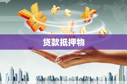 无极贷款抵押物