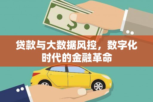 靖西贷款与大数据风控，数字化时代的金融革命
