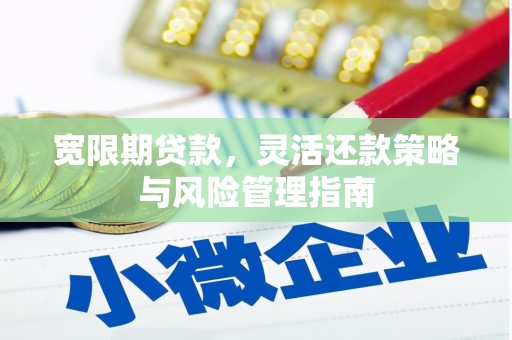 岳塘宽限期贷款，灵活还款策略与风险管理指南