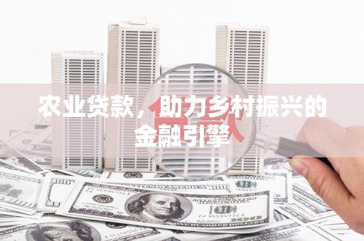 林甸农业贷款，助力乡村振兴的金融引擎