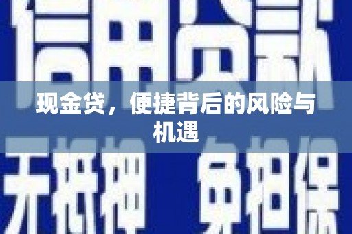 浉河现金贷，便捷背后的风险与机遇