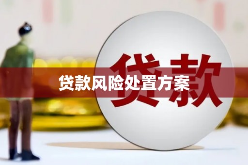天水贷款风险处置方案