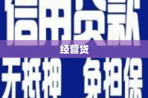 云和经营贷
