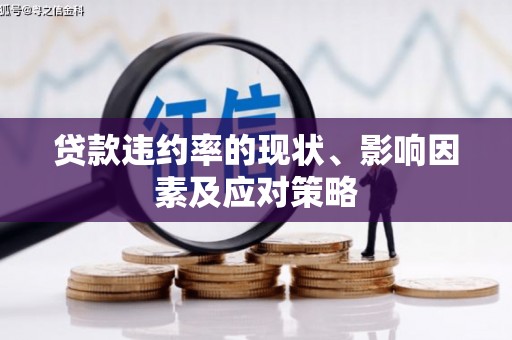 抚远贷款违约率的现状、影响因素及应对策略
