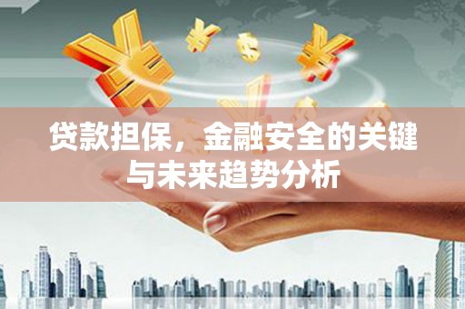 东乡族贷款担保，金融安全的关键与未来趋势分析