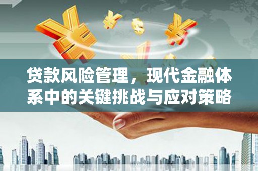 秦皇岛贷款风险管理，现代金融体系中的关键挑战与应对策略