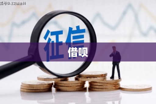怀集借呗