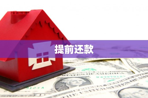 汝阳提前还款