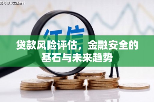 峨边贷款风险评估，金融安全的基石与未来趋势