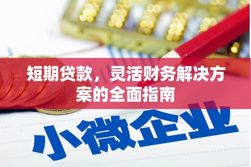 博湖短期贷款，灵活财务解决方案的全面指南