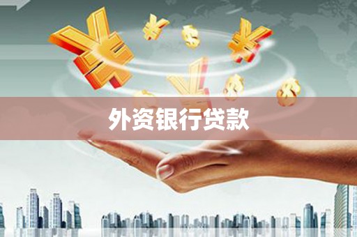 叶县外资银行贷款