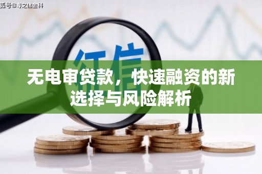 蒙阴无电审贷款，快速融资的新选择与风险解析