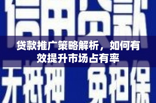 乐东贷款推广策略解析，如何有效提升市场占有率