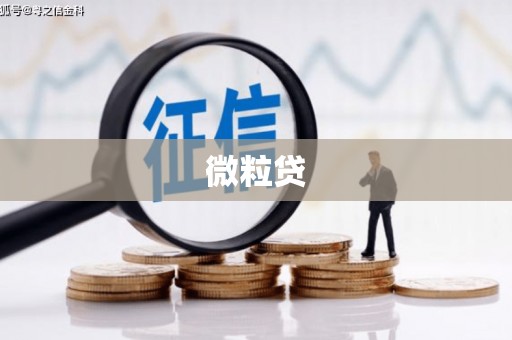 南陵微粒贷