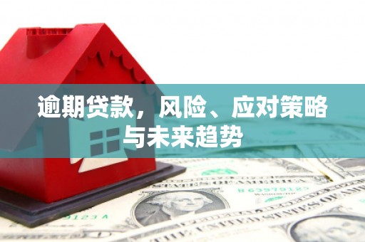 偃师逾期贷款，风险、应对策略与未来趋势