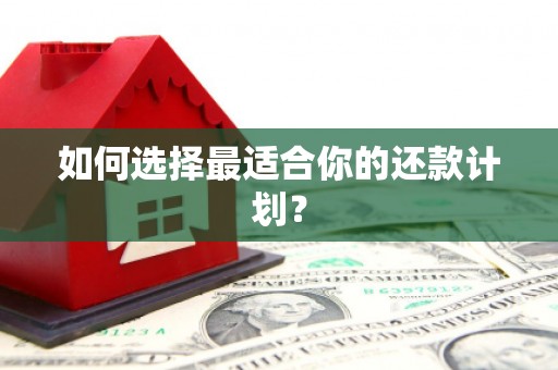 平顶山如何选择最适合你的还款计划？