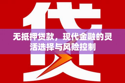 南开无抵押贷款，现代金融的灵活选择与风险控制