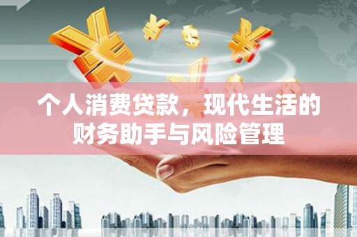 洛扎个人消费贷款，现代生活的财务助手与风险管理