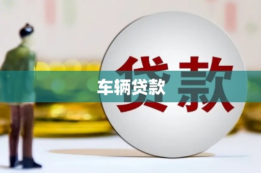 定陶车辆贷款