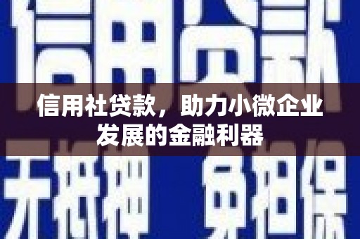 漯河信用社贷款，助力小微企业发展的金融利器
