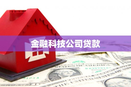 施秉金融科技公司贷款