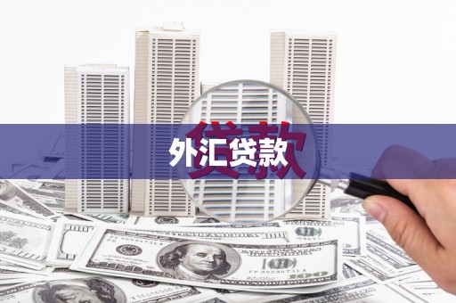 勐海外汇贷款