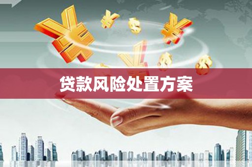 阳东贷款风险处置方案
