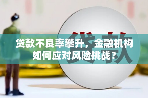 固始贷款不良率攀升，金融机构如何应对风险挑战？
