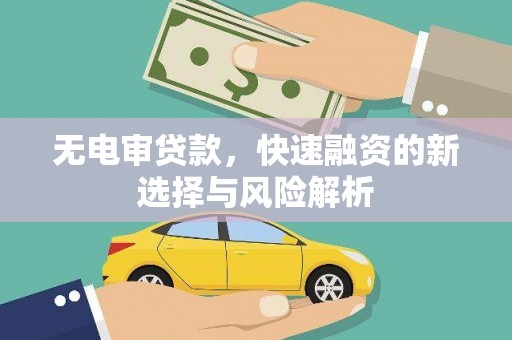 仙游无电审贷款，快速融资的新选择与风险解析