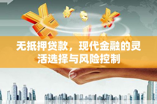 乐东无抵押贷款，现代金融的灵活选择与风险控制