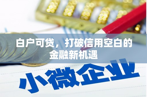 西市白户可贷，打破信用空白的金融新机遇