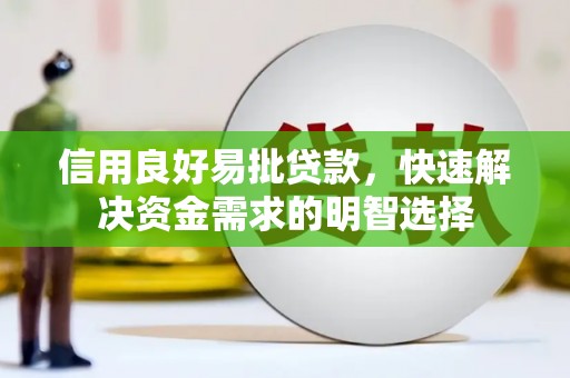 巴青信用良好易批贷款，快速解决资金需求的明智选择