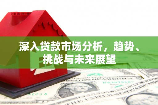 康保深入贷款市场分析，趋势、挑战与未来展望