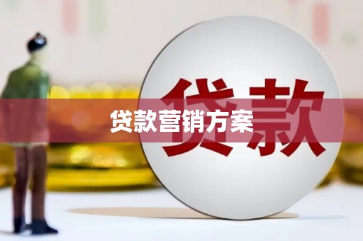 西华贷款营销方案