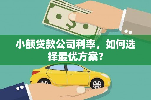 伊金霍洛旗小额贷款公司利率，如何选择最优方案？