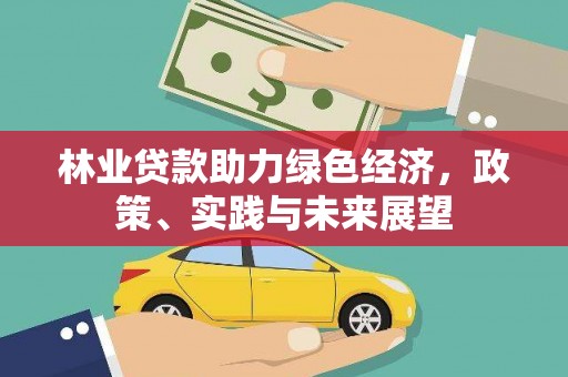 镇巴林业贷款助力绿色经济，政策、实践与未来展望