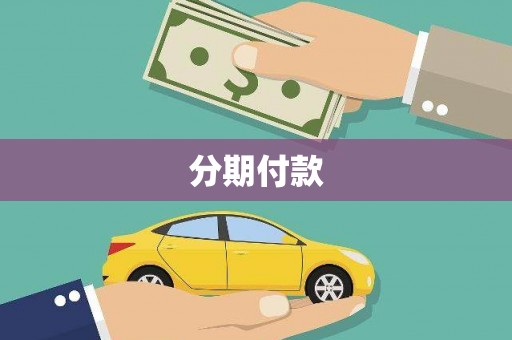 桐乡分期付款