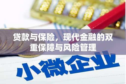 路环岛贷款与保险，现代金融的双重保障与风险管理