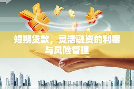 定远短期贷款，灵活融资的利器与风险管理