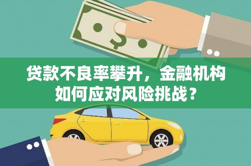 维西贷款不良率攀升，金融机构如何应对风险挑战？