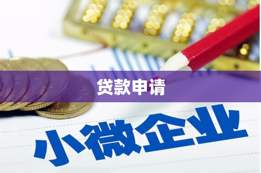万全贷款申请