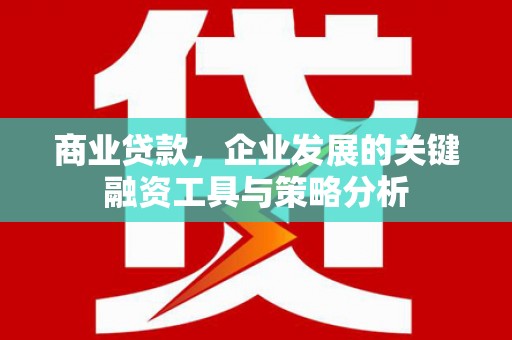 天镇商业贷款，企业发展的关键融资工具与策略分析