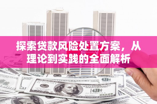 湛江探索贷款风险处置方案，从理论到实践的全面解析