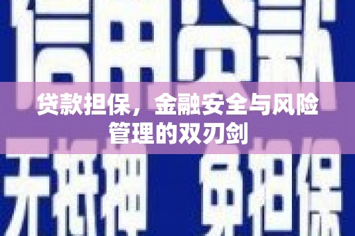 茄萣贷款担保，金融安全与风险管理的双刃剑