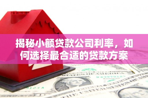 工布江达揭秘小额贷款公司利率，如何选择最合适的贷款方案