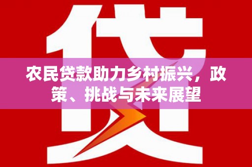 从江农民贷款助力乡村振兴，政策、挑战与未来展望