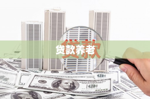 泸州贷款养老