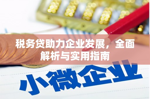 古丈税务贷助力企业发展，全面解析与实用指南
