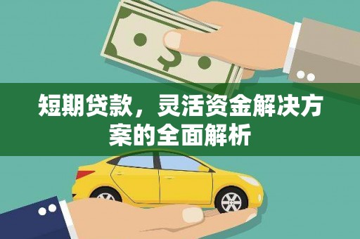 漳平短期贷款，灵活资金解决方案的全面解析